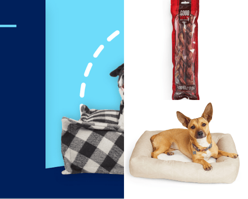 🐱PET🐶 cover photo collage