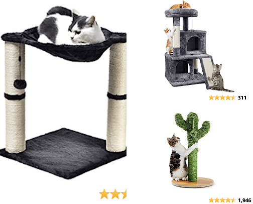 Cat essentials cover photo collage