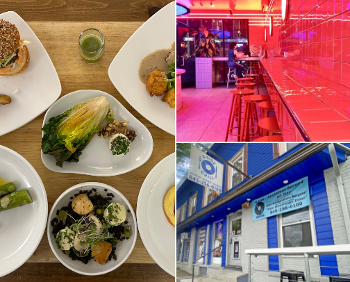 My top New Paltz recs cover photo collage