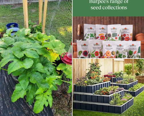 Gardening Supplies from Amazon cover photo collage