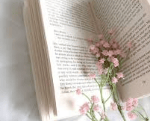 BOOKS 📚 cover photo collage