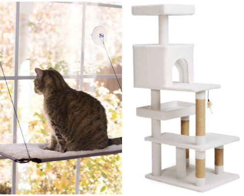Everything My Cats Love cover photo collage