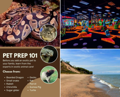 Places to visit in central illinana cover photo collage