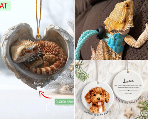 Pet supplies cover photo collage