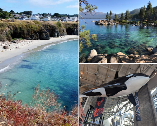 Locations REAL Californians Visit cover photo collage