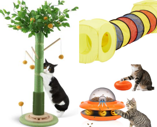 Cat 5 Star Favorites cover photo collage