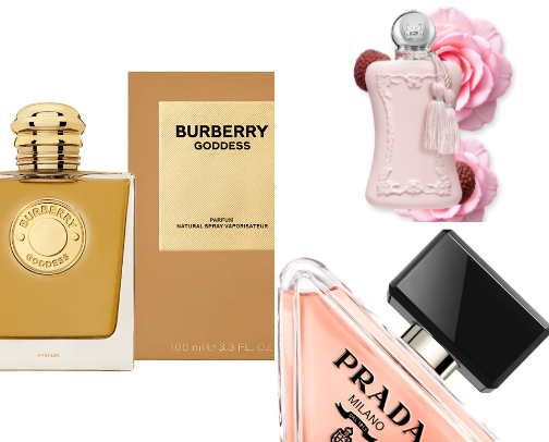 Perfumes that make people stop you on the street cover photo collage