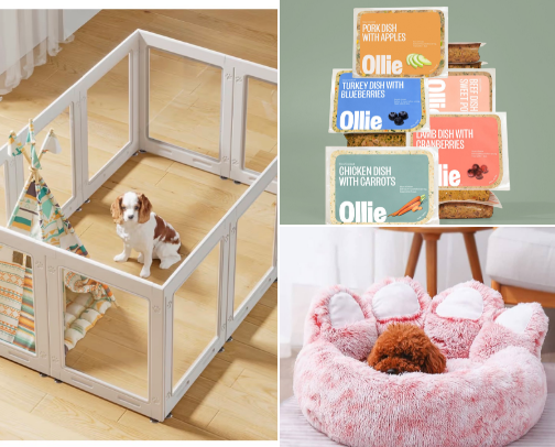 Cleo’s corner cover photo collage