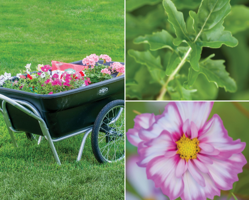 Mastering the Garden cover photo collage