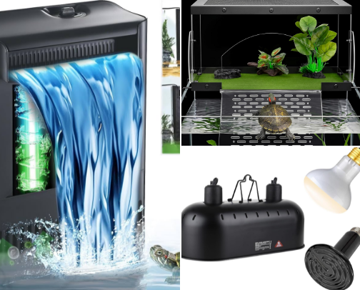 Turtle HQ: Everything Your Shelled Friend Needs cover photo collage