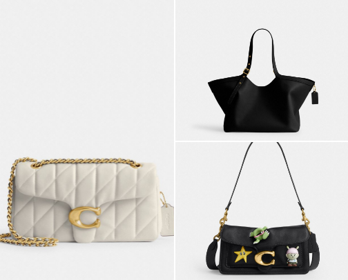 Coach bags Recommendations cover photo collage