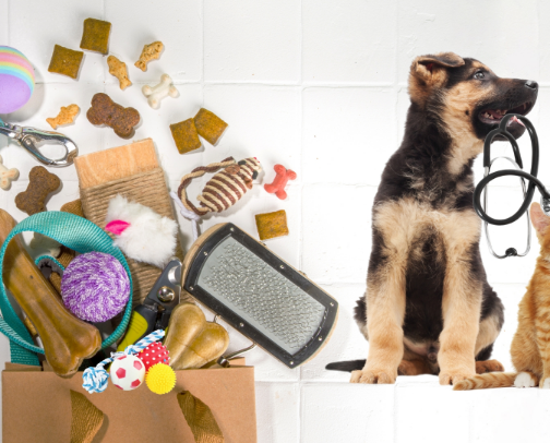 The Cozy Pet Corner cover photo collage