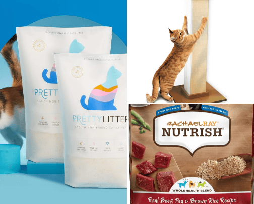 All things pets cover photo collage