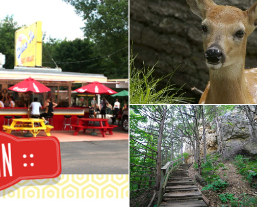 ☀️ Summer ☀️ Day Trip: 🗺 Taylor's Falls, Minnesota cover photo collage