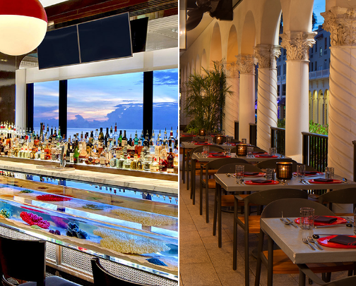 My Favorite restaurants with a View & cute outings 🥺🫶💖 cover photo collage