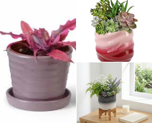 20 Aesthetic Plant Pots To Add To  Your Indoor Jungle cover photo collage