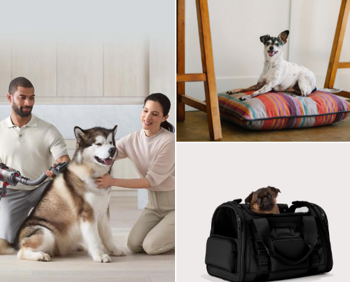 CANINE FAVORITES cover photo collage