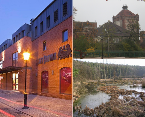 Family-Friendly Adventures in Gdańsk cover photo collage