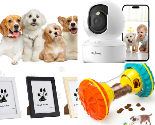 🐶 Pet Mama Picks – Rakes-Approved Essentials cover photo collage