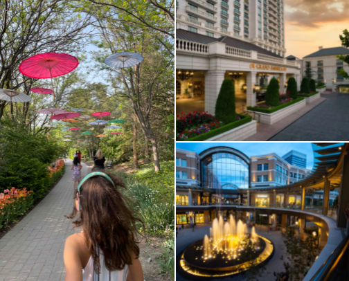Utah's Photo-Ready Destinations cover photo collage