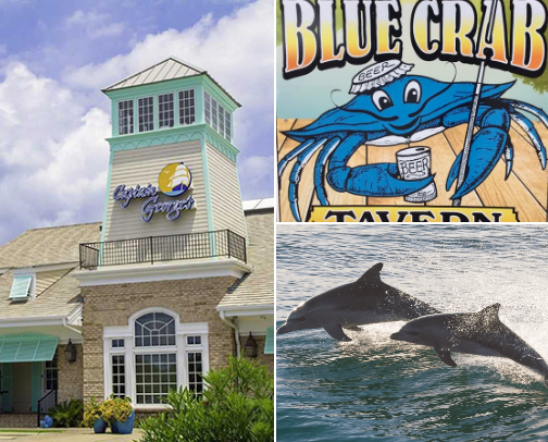 OBX likes cover photo collage