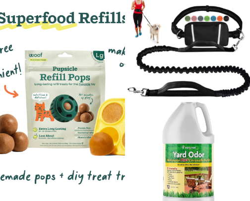 Dog/Puppy Necessities🐾 cover photo collage