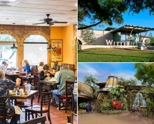 Explore San Antonio cover photo collage