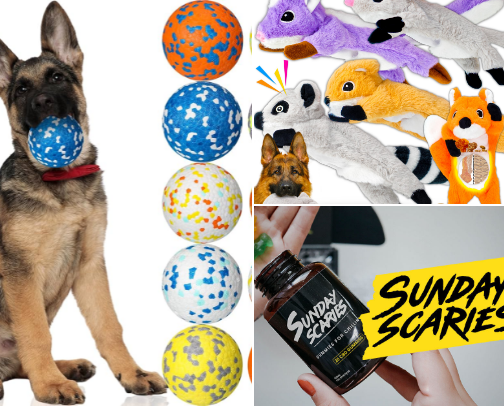 Dog Stuff cover photo collage