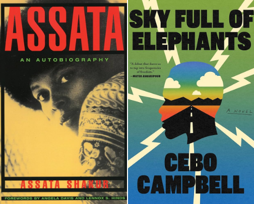 Books I Want to Read Next (My TBR List) cover photo collage