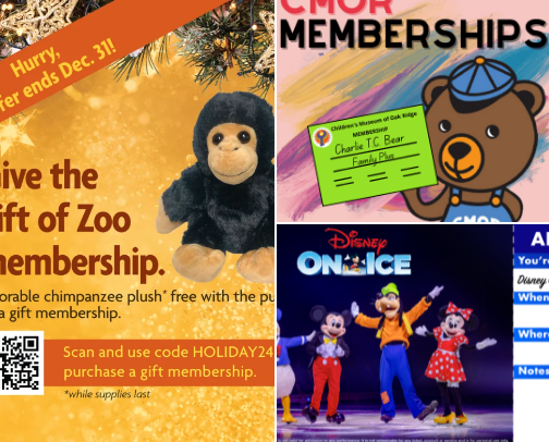 Gift Ideas-Experiences They'll Never Forget cover photo collage