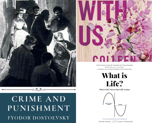 My favorite book recs cover photo collage