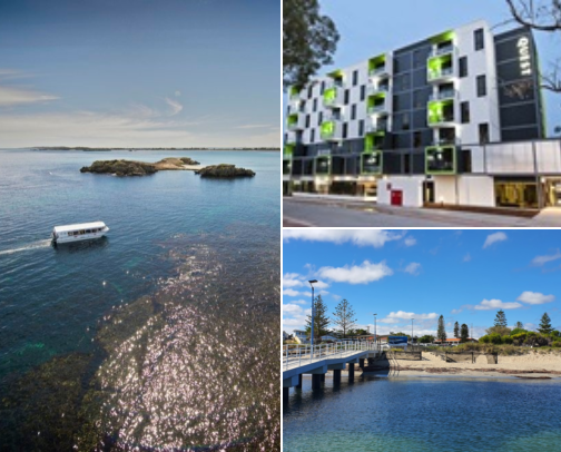 I Finally Did the Penguin Island Wildlife Walk in Rockingham WA cover photo collage