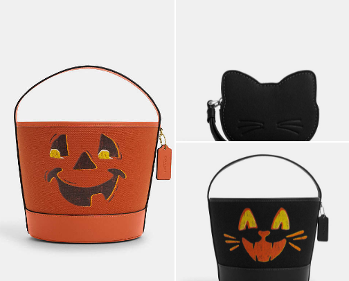 Coach fall favorites 👜 cover photo collage