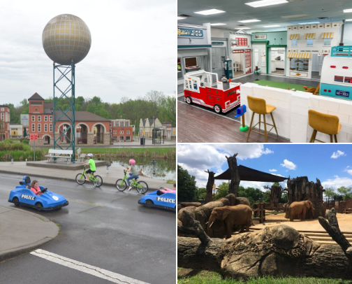 My top Knoxville recs cover photo collage