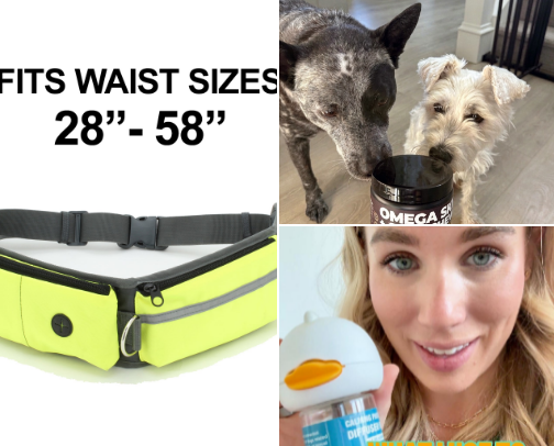 All The Things For Dogs cover photo collage
