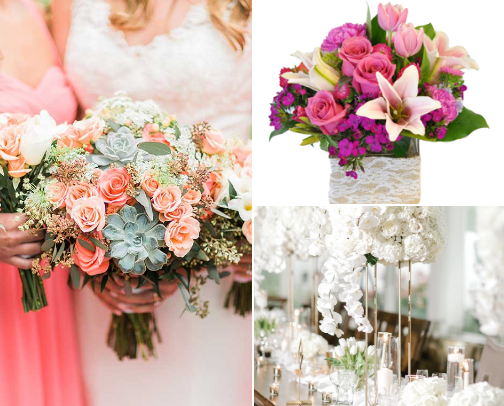 Your NOVA Wedding Pros cover photo collage