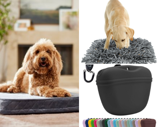 Dog Products They Quietly Got Obsessed With cover photo collage