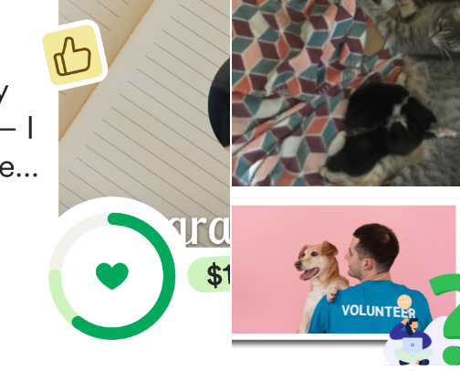 Fundraisers cover photo collage
