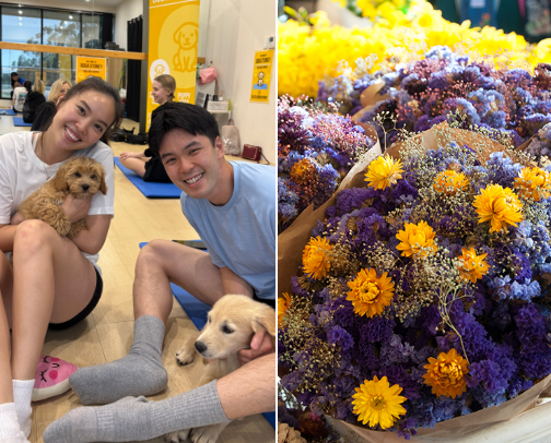 New Week, New Hobby cover photo collage