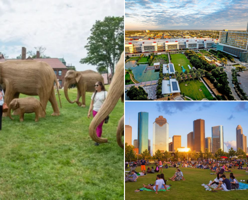 Things to Do in Houston & Surrounding Areas cover photo collage