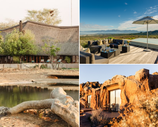 Once in a lifetime accommodation South Africa ✨️🇿🇦 cover photo collage