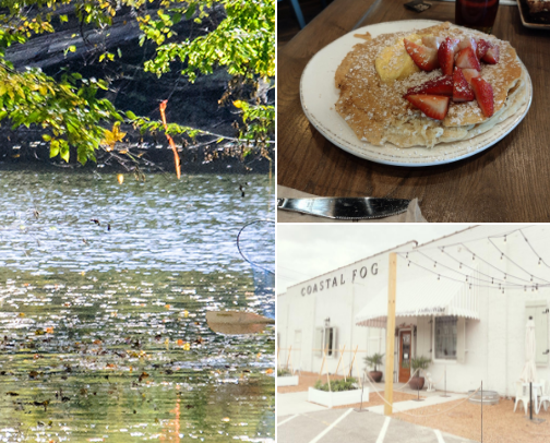 My top Greenville recs cover photo collage