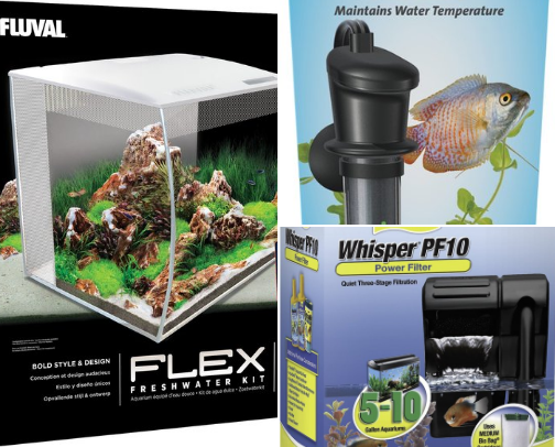 Betta fish essentials cover photo collage