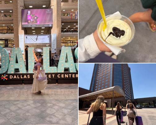Places to Visit in Dallas, TX cover photo collage