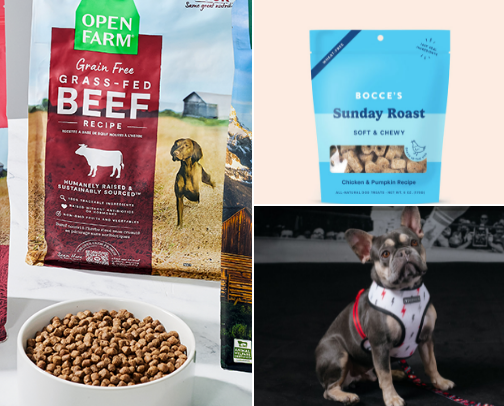 My go-to's: Dog Edition cover photo collage