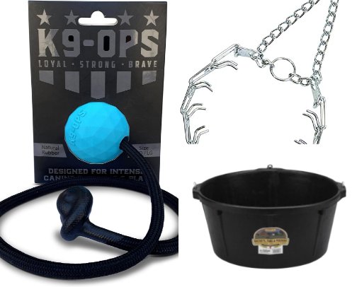 Dog Training Essentials cover photo collage