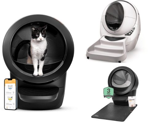 Kitten Needs Litter Boxes That Make the Difference cover photo collage