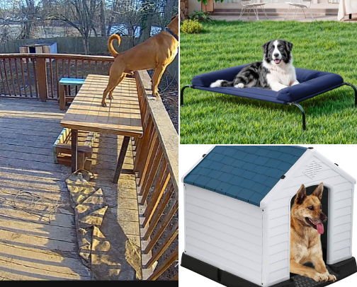 Big Puppy cover photo collage