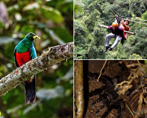 Visit Ecuador - All You Need To Know cover photo collage