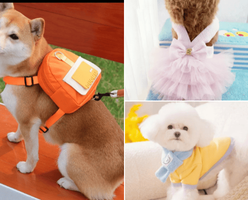 Happy dog 🐕🐕🐕 cover photo collage